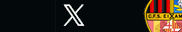 x icono