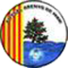 Escut FUTSAL ARENYS DE MAR A