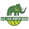 LES CORTS ESPORTIU FUTSAL B