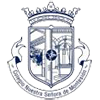 escut  MONTESIÓN CFS 