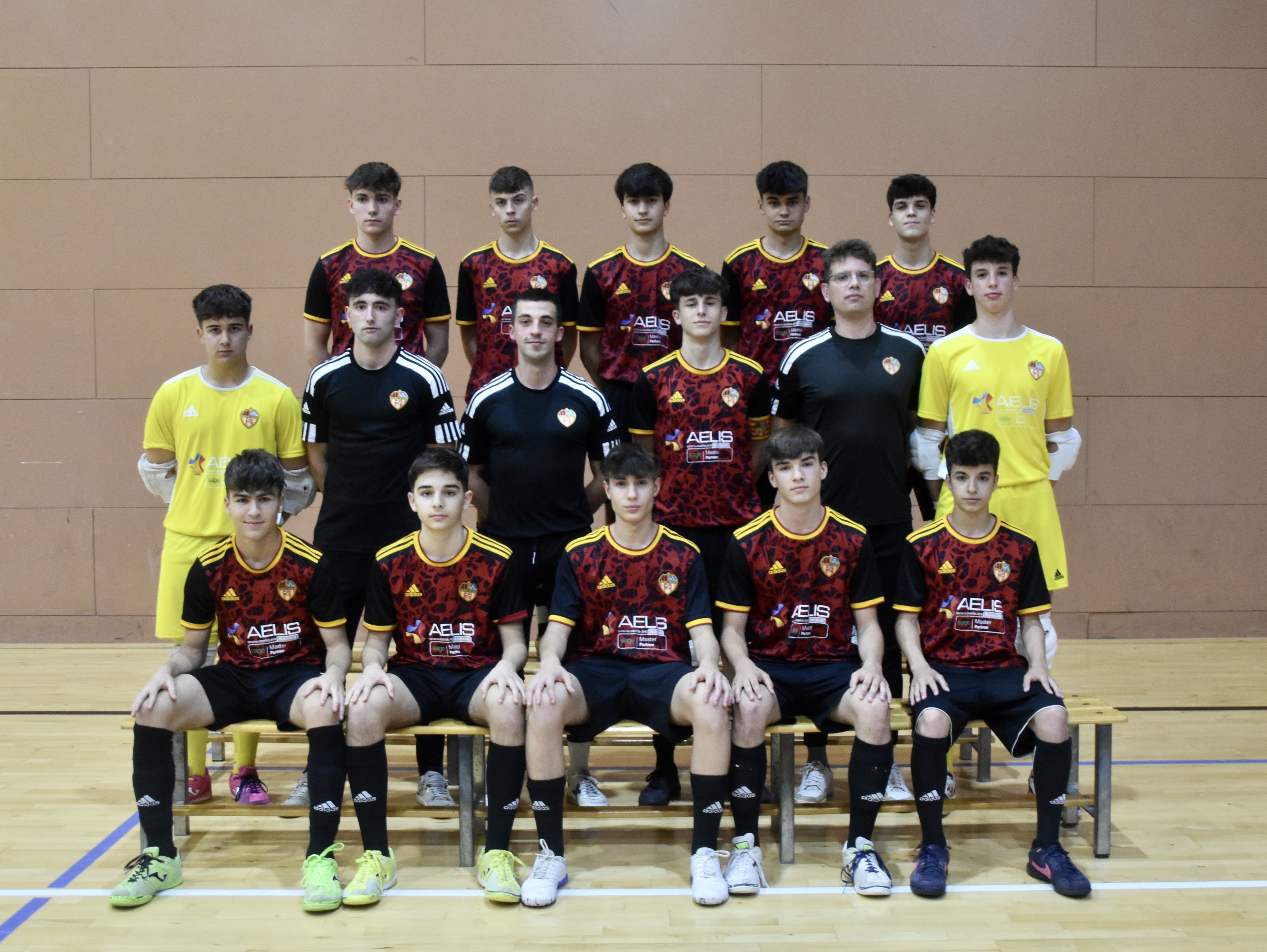 Aelis - Sage Partner Eixample 'A' >Cadet Masculí foto plantilla 2023-2024